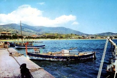 marina_di_campo_barche_ponzesi_1